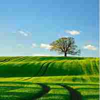 ai图​像‍智‌能​识‍别﻿是‌什‍么​意‍思﻿